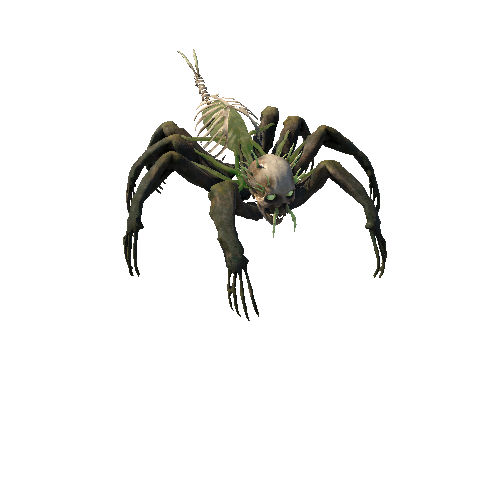 Base Mesh Monster Bone Spider Skin2